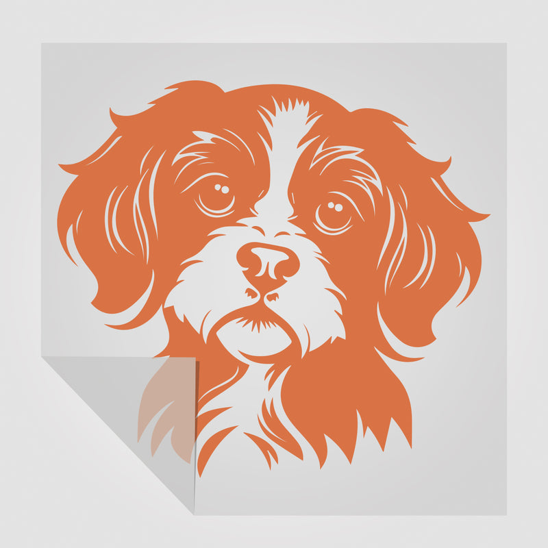 Bolonka Zwetna Hunde Sticker StickyWorld Exclusive | Foliensticker