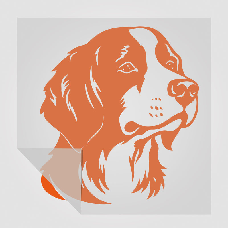 Epagneul Breton Hunde Sticker StickyWorld Exclusive | Foliensticker