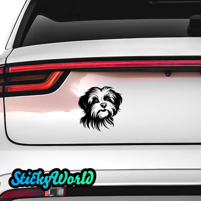 Havaneser Hunde Sticker StickyWorld Exclusive | Foliensticker