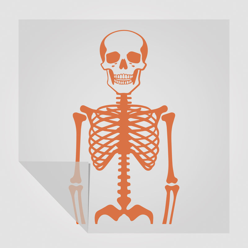 Skelett Sticker  Motiv 3 | Foliensticker